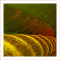 |||&nbsp;Seil&nbsp;#3&nbsp;|||