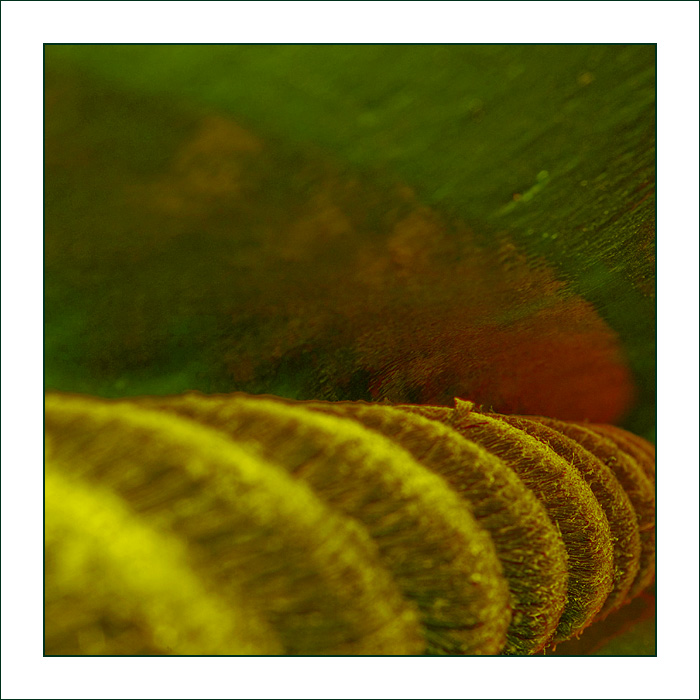 ||| Seil #3 ||| abstract image - 12/2006|||