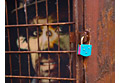 |||&nbsp;Hinter&nbsp;Gittern&nbsp;|||&nbsp;Essen-&nbsp;Germany&nbsp;|&nbsp;05/2007
