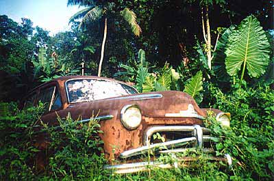 Jungle Travels - Sri Lanka 2002 - click to enlarge for purchase information