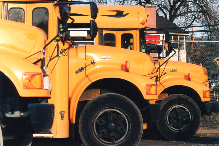 School Busses