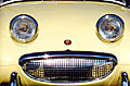 Yellow Face