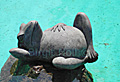 Happy Frog - available approx. 30x40 cm printed on artist canvas