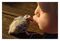 |||&nbsp;Baby&nbsp;Kisses&nbsp;Twice&nbsp;As&nbsp;Nice&nbsp;|||