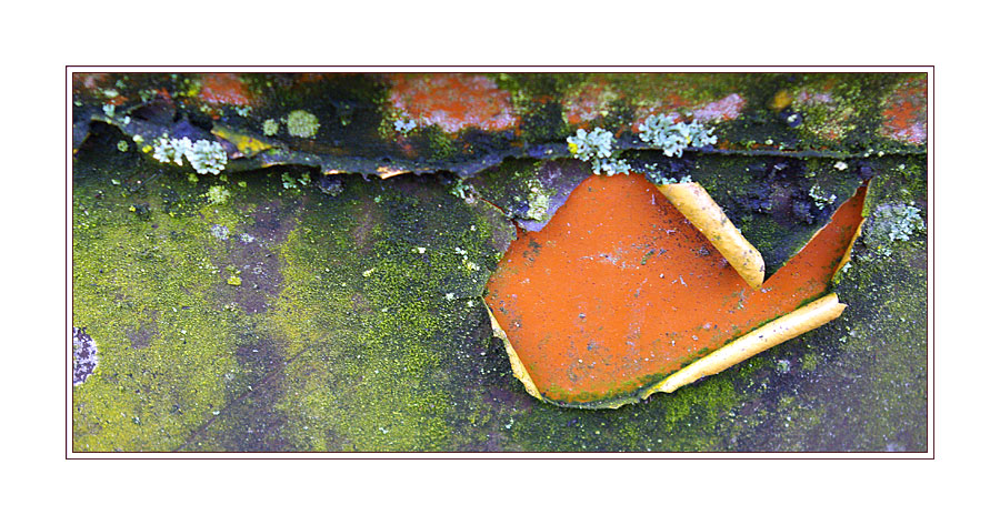 |||&nbsp;RostART&nbsp;#2507&nbsp;|||&nbsp;abstract&nbsp;image&nbsp;|&nbsp;Birgit&nbsp;Noll&nbsp;�&nbsp;|||