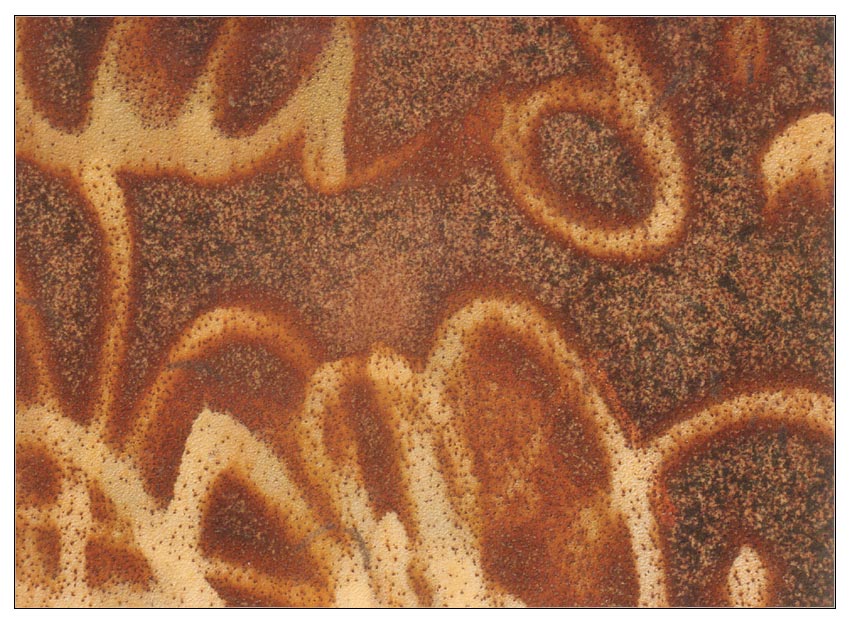 |||&nbsp;Rusty&nbsp;||| abstract rusty image by Birgit Noll �