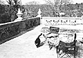 Sir on his Balcony / Estherwood / Dobbs Ferry