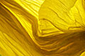 ||| Yellow Texture ||| 07/2007