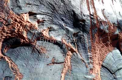 ||| Stone #1 - available up to 40x60cm -  Page|Arizona|USA 1998 |||