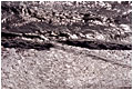 ||| Piombo ||| water texture at Fort Funston, CA., USA
