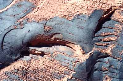 ||| Stone #2 - available up to 40x60cm -  Page|Arizona|USA 1998 |||