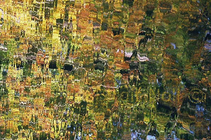 ||| Autumn Leaves - Water Texture - M&uuml;nsterland - Germany 2005 ||| photography available printed on artist canvas