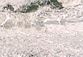 ||| SchaumSchwapp ||| Domburg - Netherlands - 1996