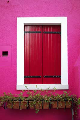 15_1983_fuchsia
